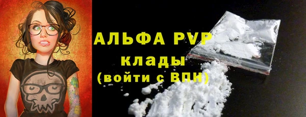 СК Богородск
