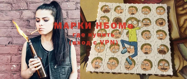 Альфа ПВП Бородино