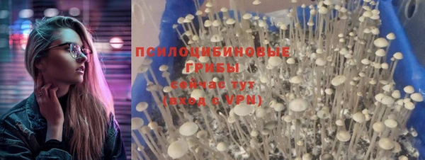 прущие крисы Богданович