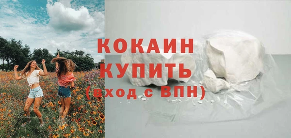 Альфа ПВП Бородино
